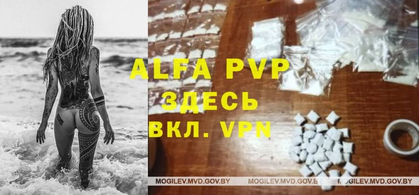 индика Нея