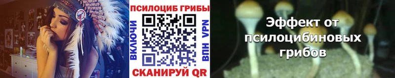Псилоцибиновые грибы мухоморы  продажа наркотиков  Тольятти 