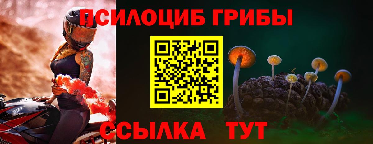 Тольятти  Псилоцибиновые грибы прущие грибы  Галлюциногенные грибы ЛСД  даркнет сайт  Вход с VPN 