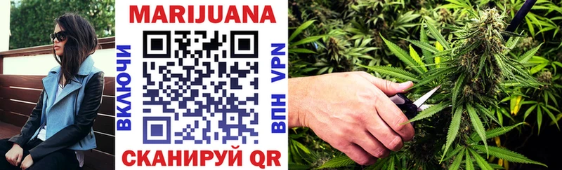 где найти наркотики  Тольятти  Конопля SATIVA & INDICA 